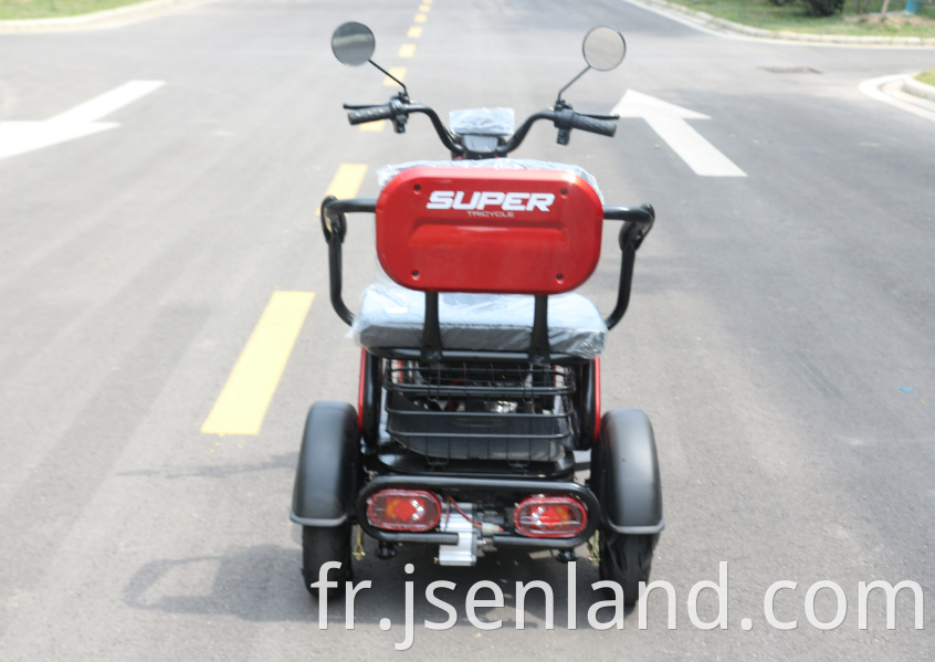 Adult Cargo Best Price Electric Tricycle